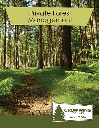 Brochure cover for private forest management showing a forest with a walking path Opens in new window