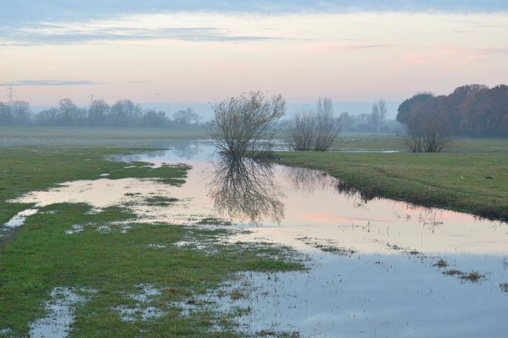 Floodplain Image
