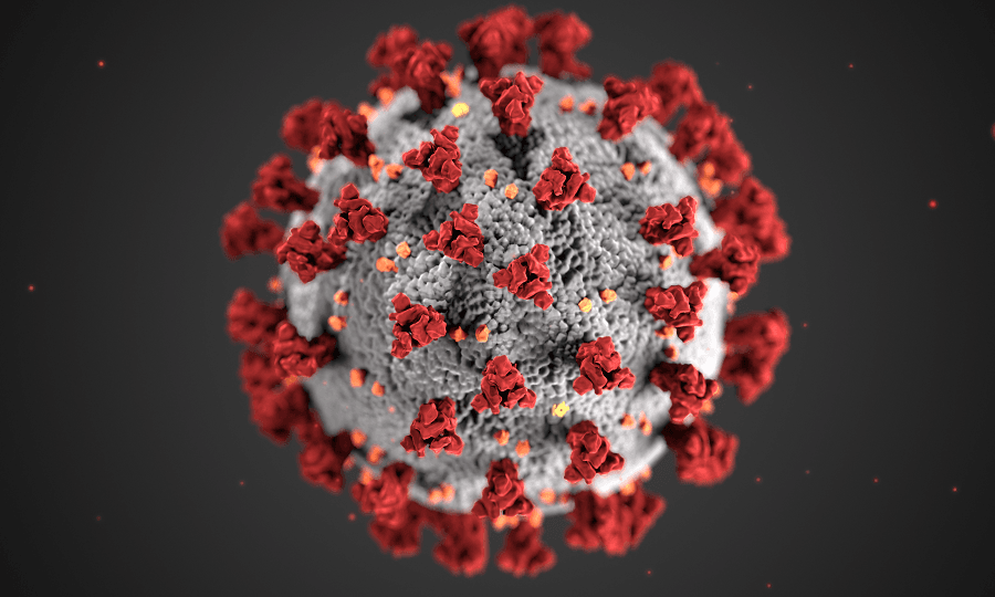 Coronavirus image cell