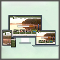 Web Statistics Graphic